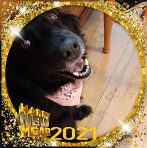 Meet your Posher, India